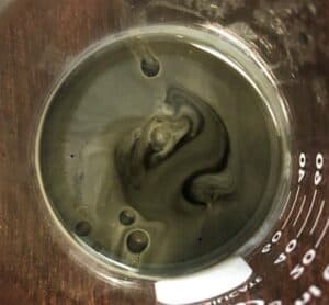 Top-down view of a beaker of oil mixed with water. Not a pretty sight.