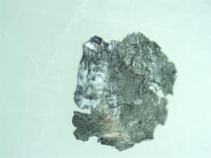 Magnified metal flake, possibly bearing material