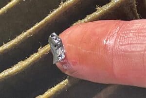Debris on the end of a fingertip