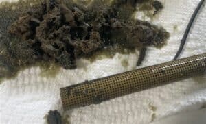 Fluffy stuff that came out of the suction screen