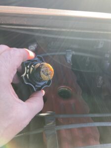 Close up of goo on the underside of an oil cap - evidence of some kind of moisture contamination