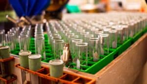 Empty insolubles test tubes in a green rack