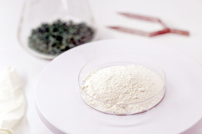 Ash in a petri dish on a scale